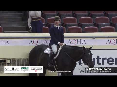 Senior Hunter Under Saddle - 2024 AQHA World Championship Show