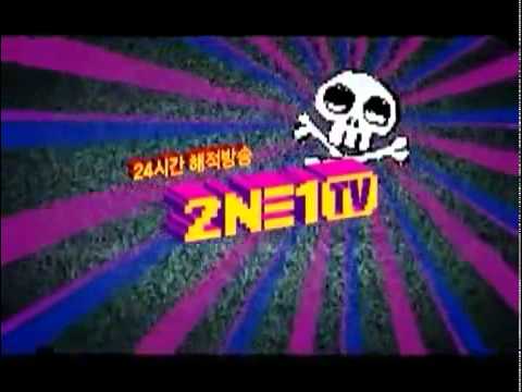 2NE1TV Season 01 -  Pirate Clips 01