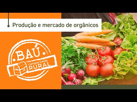 O consumo de produtos orgânicos não para de crescer no Brasil