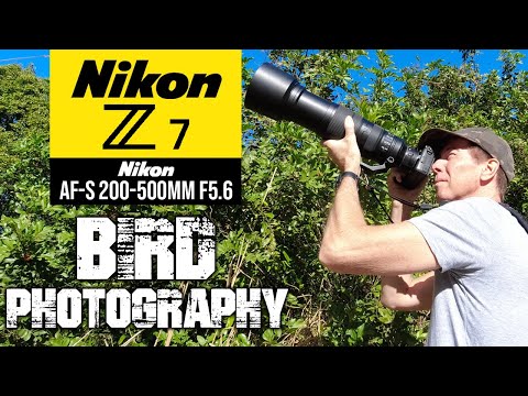 Nikon Z7 Bird Photography Using The Nikon AF-S 200-500mm + FTZII