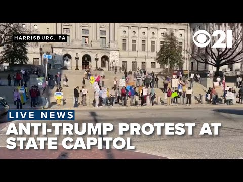 LIVE | Anti-Trump, Musk protest happening at State Capitol