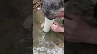 Just a little Gold Nugget ⛏️#goldprospecting #prospectingforgold  #golddetector #shortsvideo #shorts