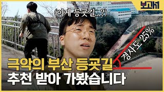 부산의 레전드 등굣길 3곳, 추천 받았습니다 l 보고서