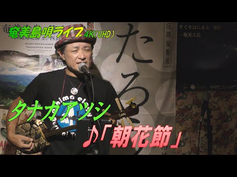 「♪朝花節」タナカアツシ・ライブ_in_飯能エビスcafe