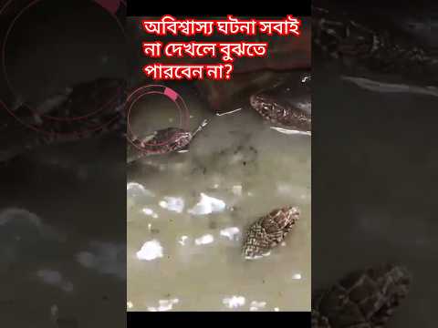 অবিশ্বাস্য ঘটনা সবাই না দেখলে মিস করবেন #Shorts #shortvideos #viral shorts #shortsfeed #shortsvideo