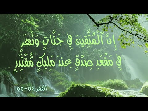 شاهد للاخير اخي واختي الاعزاء رحمة الله بعد الموت وقولو لي هل تغيرت نظرتكم عن الخوف من الموت 🥰🥲