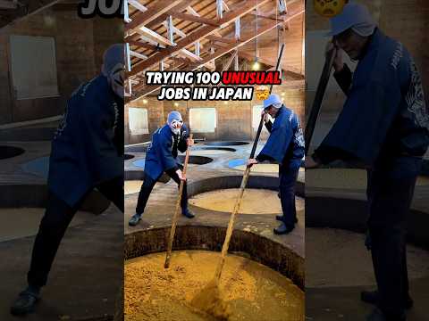 I TRIED 100 Unusual Jobs in Japan