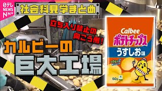 【工場見学】カルビーのポテトチップス製造ラインを大公開！ じゃがいもを“高速処理”するスゴ技も！？ / マクドナルドのパテはこうして作られる！工場に潜入取材＆143gが手で分かる!ポテトの達人クルー