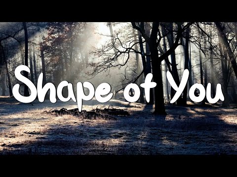 Shape of You - Ed Sheeran (Lyrics) || Charlie Puth, Shawn Mendes, Ellie Goulding (Mix)