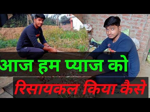 aaj main pyaj ko  recycle kiya #mrdevarajput #youtube