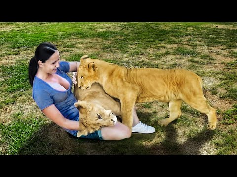 Most Emotional Animal Reunions With Owners After Years !