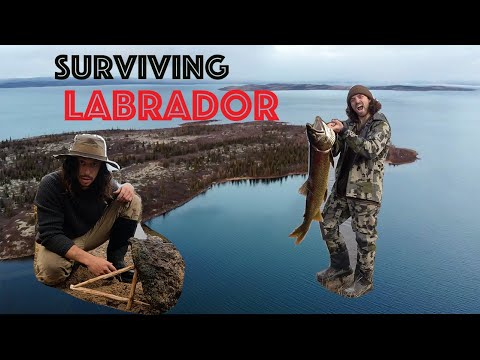 Long-term Primitive Survival | Foraging Trapping Hunting And Fishing | Labrador Ep-1