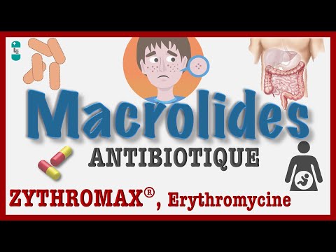 Les Macrolides - TOUT Savoir : Pharmacologie, Antibiotiques, Clarythromycine, ZYTHROMAX