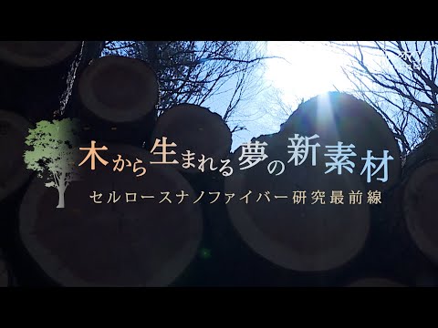 木から生まれる夢の新素材　セルロースナノファイバー研究最前線 | ガリレオX第169回