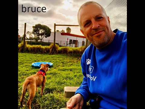 "Bruce" Unplugged (Official Music Video) by Drop Spindle