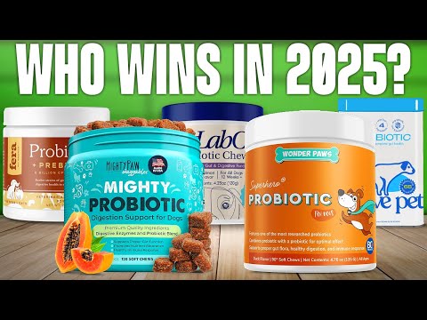 TOP 5 Best Probiotics for Dogs 2025