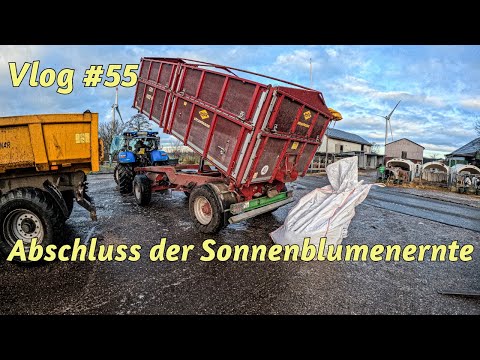 Farm-Vlog #55 Der Alltag hat uns wieder