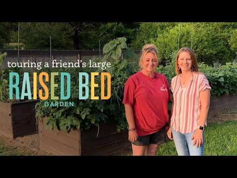 Touring a Friend's Beautiful Large Raised Bed Garden