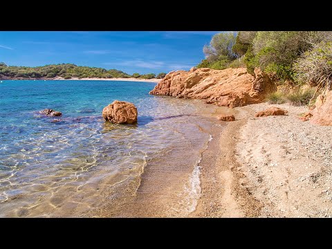 Gorgeous Beach and Wave Sounds - Relaxing Day Near The Sea - Ideal For Yoga and Meditation