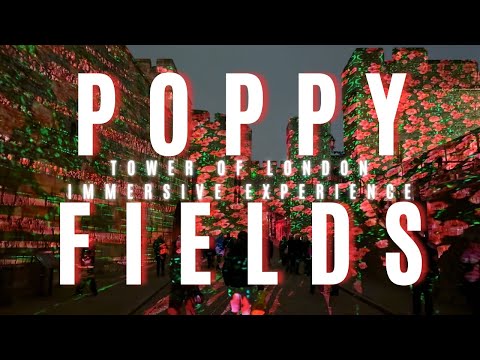 Poppy Fields at The Tower of London | Immersive Experience | 2024