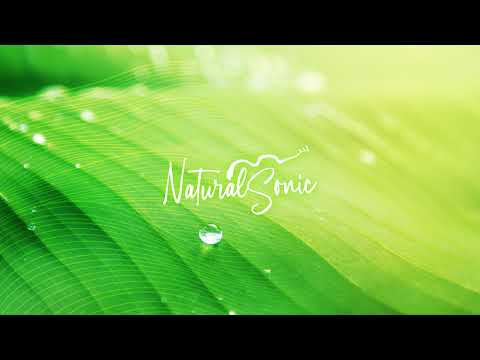 Natural Sonic のライブ配信