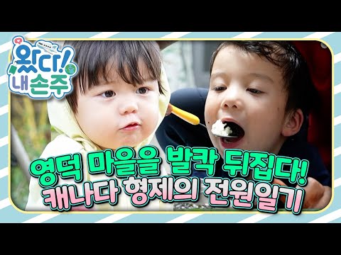 🇨🇦영덕 마을을 발칵 뒤집다! 캐나다 형제의 전원일기｜👵🏻왔다! 내 손주🧓🏻｜국제가정｜조부모｜리얼리티｜EBS키즈｜[EBS놀이터]