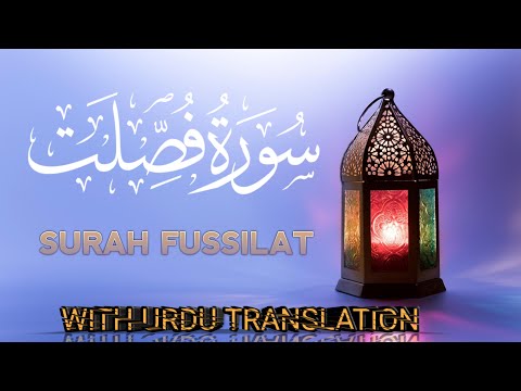 surah fussilat 41 | Ha Meem sajdah with urdu Translation | Heart Touching Tarjuma | Quranic Light Tv