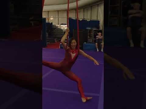 #CirqueDuSoleil artist teaches us #AerialSilks! #shorts #kooza #aerialacrobatics