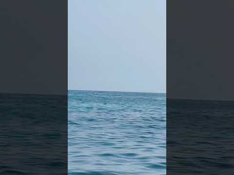 Sea View Fujeirah. #viral #video #reels #shorts #shortsvideo