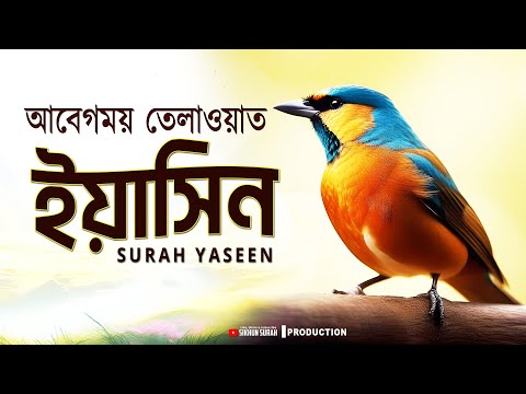 সূরা ইয়াসিন يٰسٓ - সবচেয়ে আবেগময় তেলাওয়াত । By Shamsul Haque । শিখুন সূরা