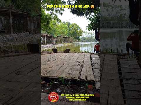 TERIMA KASIH ANGLER | PEMANCINGAN EMA | MINGGU, 3 NOVEMBER 2024