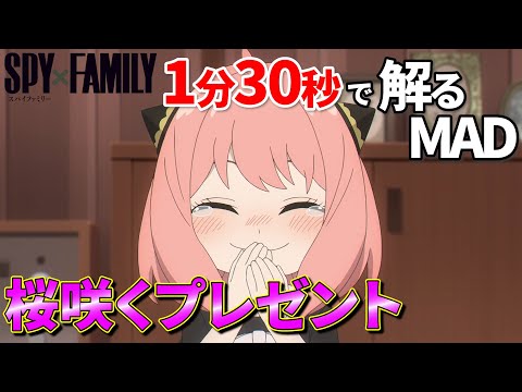 【SPY×FAMILY】ミックスナッツでアーニャの合格祝いを把握する【MAD】