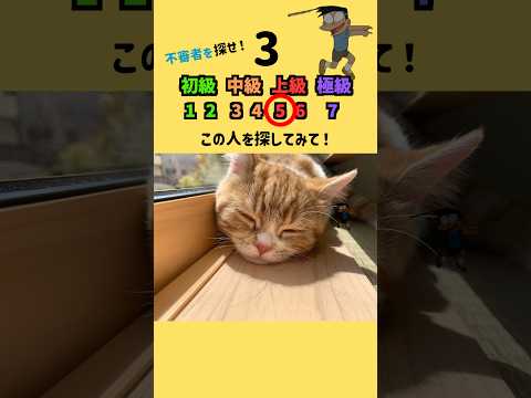 みんなは見つけられるかな？ #ai  #shorts #クイズゲーム #ミニゲーム