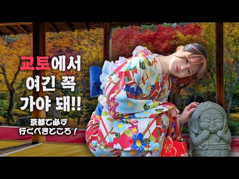 교토 여행 필수 추천 코스! 한국인 없는, 교토 현지인들의 숨은 뷰 맛집♡ 봄 여름 가을 겨울 다 예쁜 곳!