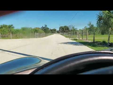 356 Speedster Drive