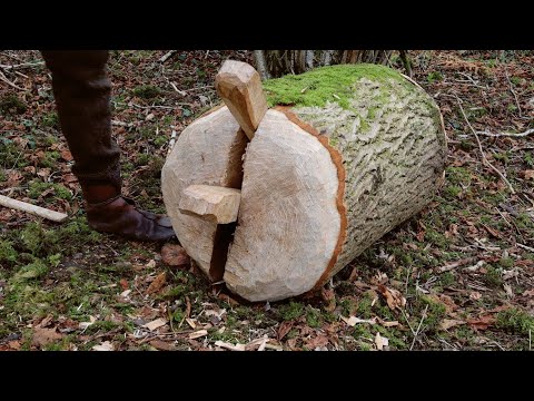 Splitting an Ash Log to Make Planks for an Anglo-Saxon Shield - Part I | Early Medieval Woodworking