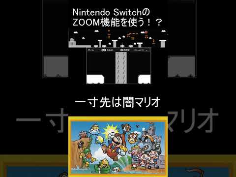 6-3 一寸先は闇マリオ Nintendo SwitchのZOOM機能を使う！？ ZOOM MARIO