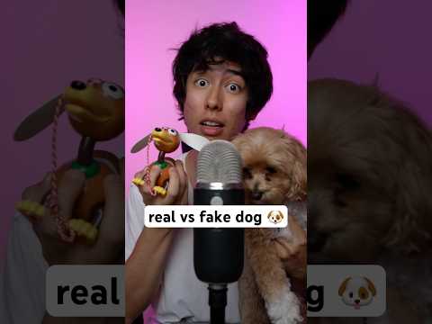 real vs fake dog 🐶 #asmr