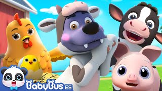 Canción de Granja | Canciones Infantiles | Videos para Niños | BabyBus en Español