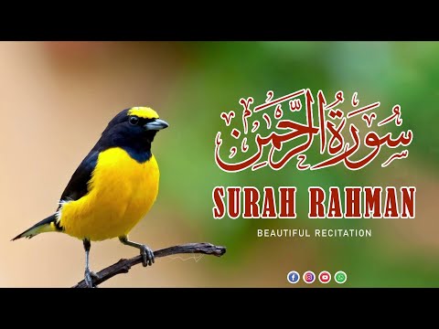 surah rahman ki tilawat/surah rehman/quran recitation/quran sharif ki tilawat#surahrehman