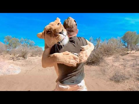 Most Emotional Animal Reunions With Owners After Years !