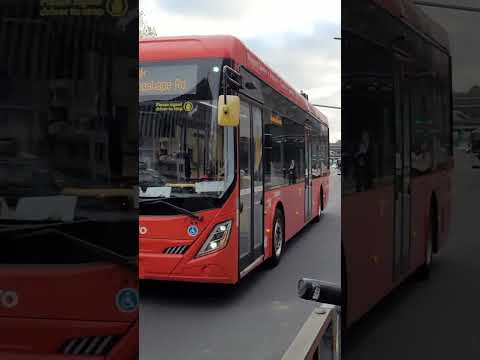 Auckland City Link bus bright red from Wynyard to KRoad #kuyabogpilotzn #auckland #bus #spotting