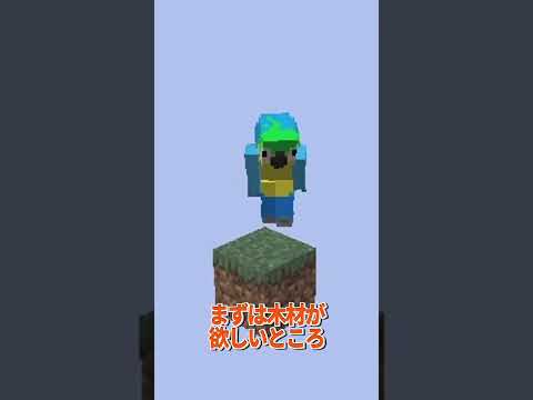 ここからエンドラを倒します #マイクラ