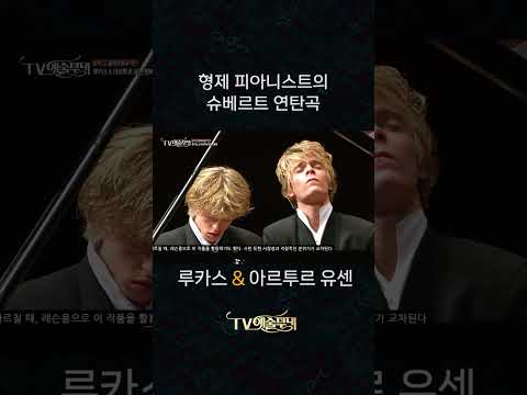 진정한 브로맨스.. 형제 피아니스트의 연탄곡 #슈베르트