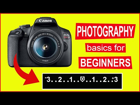 BEGINNER PHOTOGRAPHY TIPS - The cameras light meter explained.