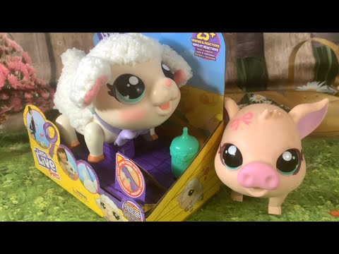 Moose Toys Little Live Pets My Pet Lamb Snowie Unboxing, Demonstration, Review & Pig Comparison 🐑🐷