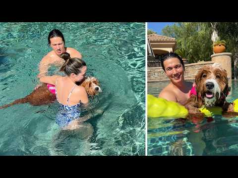 Teaching Our Puppy To Swim!