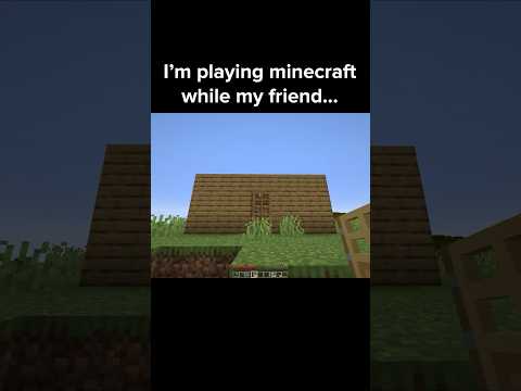 Minecraft Friend Moment