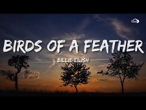 Billie Eilish - BIRDS OF A FEATHER (Lyrics)