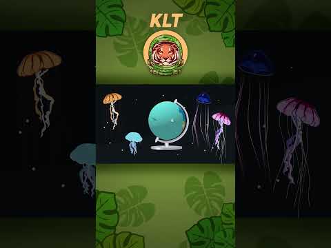 Jellyfish Come In MANY Colors! | KLT WILD #shorts